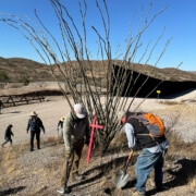 Volunteers planting a cross on the U.S.-Mexico border memorializing migrants who died.