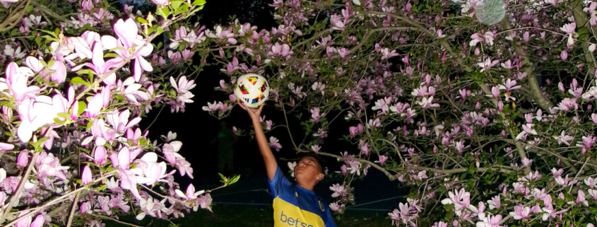 Photo of a kid with soccer ball surrounded by flowering trees.